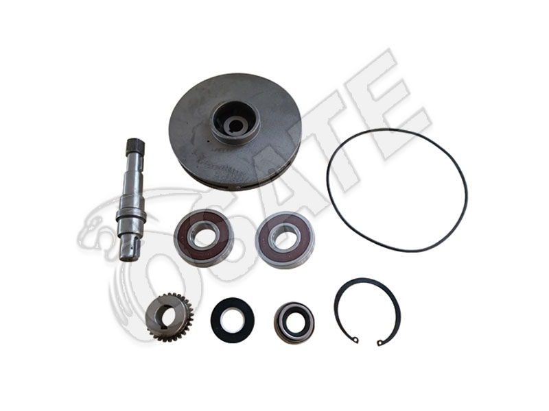 REPAIR KITS FOR WATER PUMP