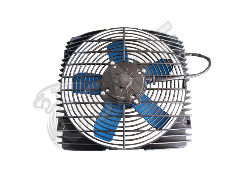 FAN