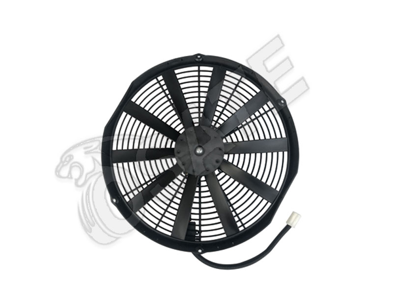 FAN